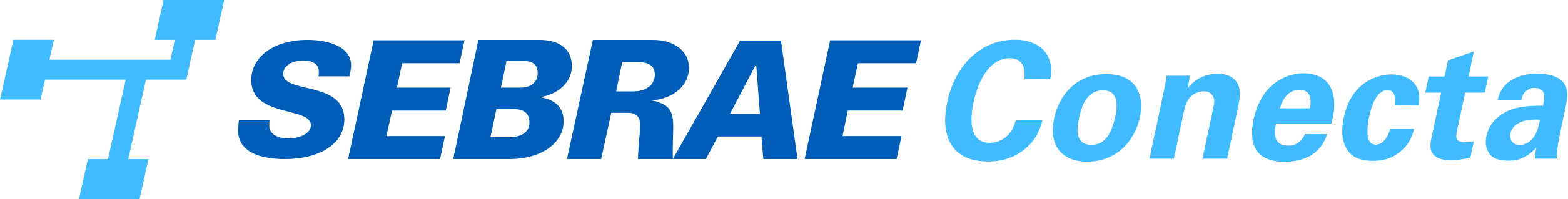 Sebrae Conecta